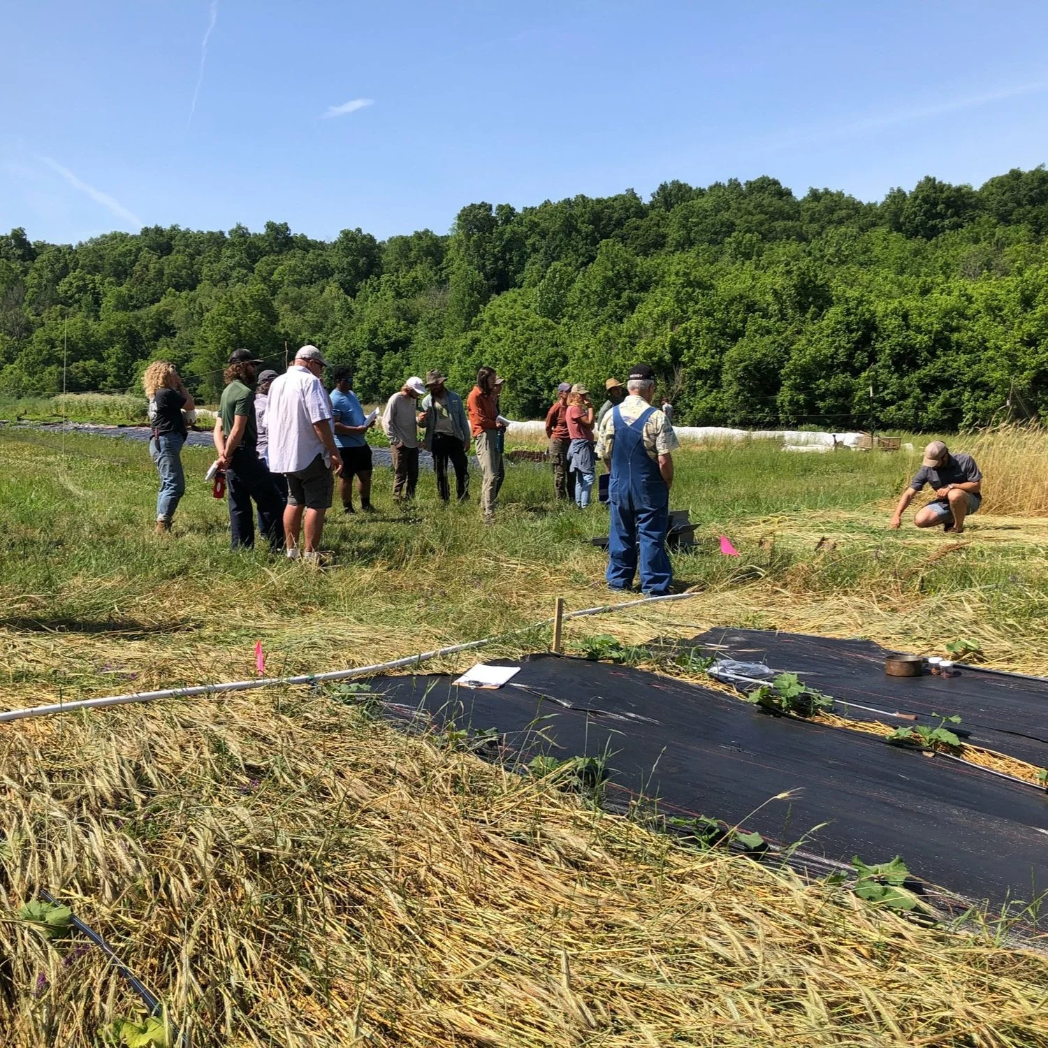 Our Events &amp; Public Involvement