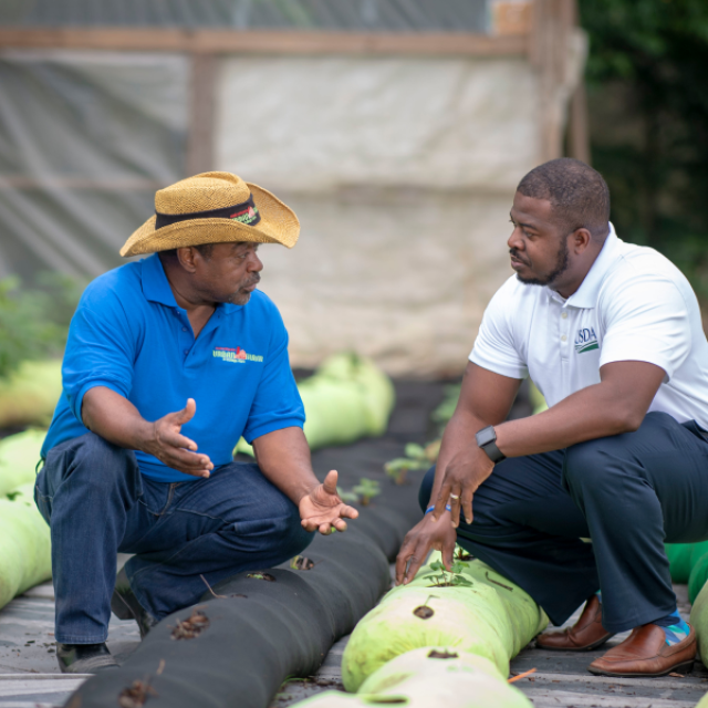 North Carolina Farmers: NRCS Conservation Funding Applications Are Open