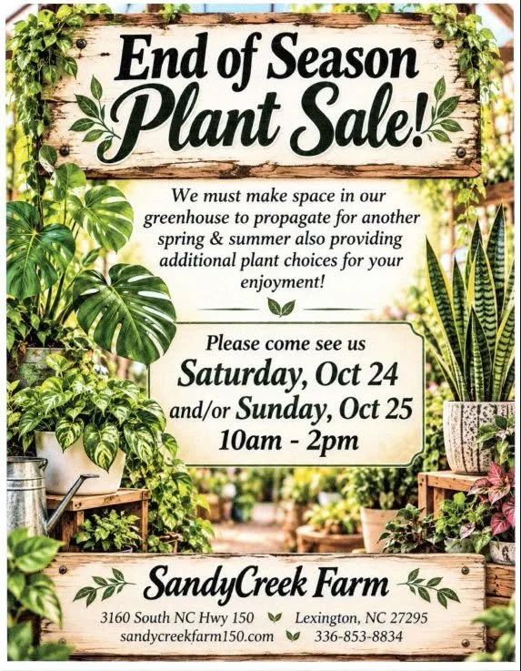 SandyCreek Farm: End of Season Plant Sale