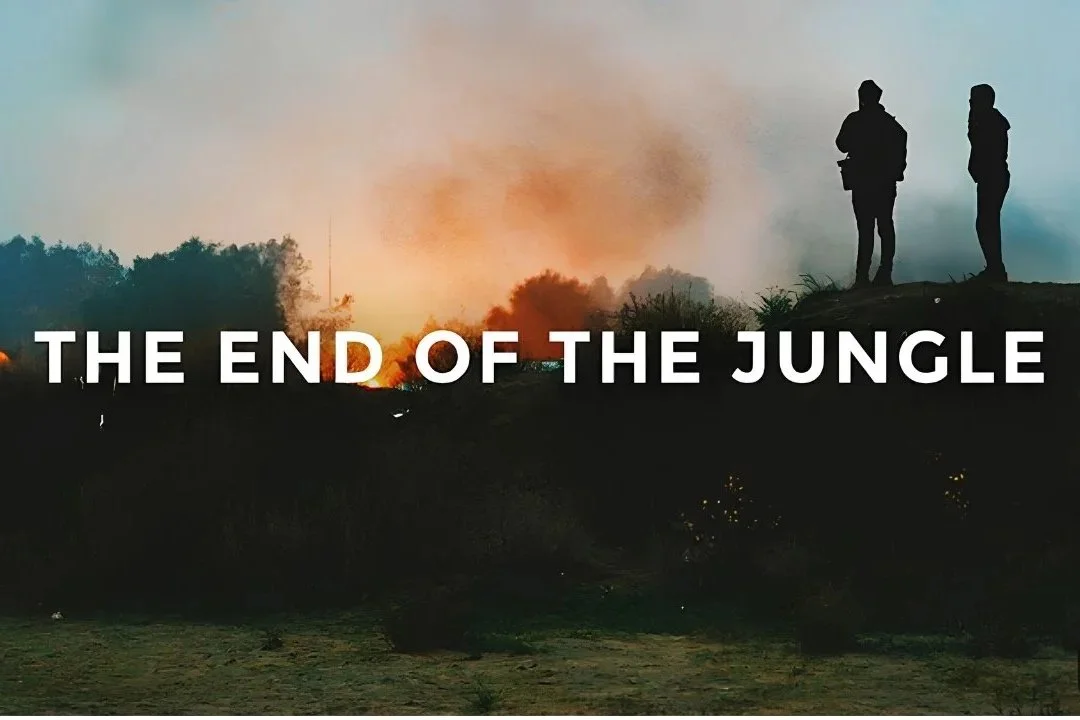 The End Of The Jungle | Documentary