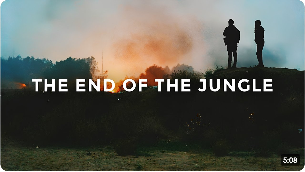 The End Of The Jungle | Short Documentary