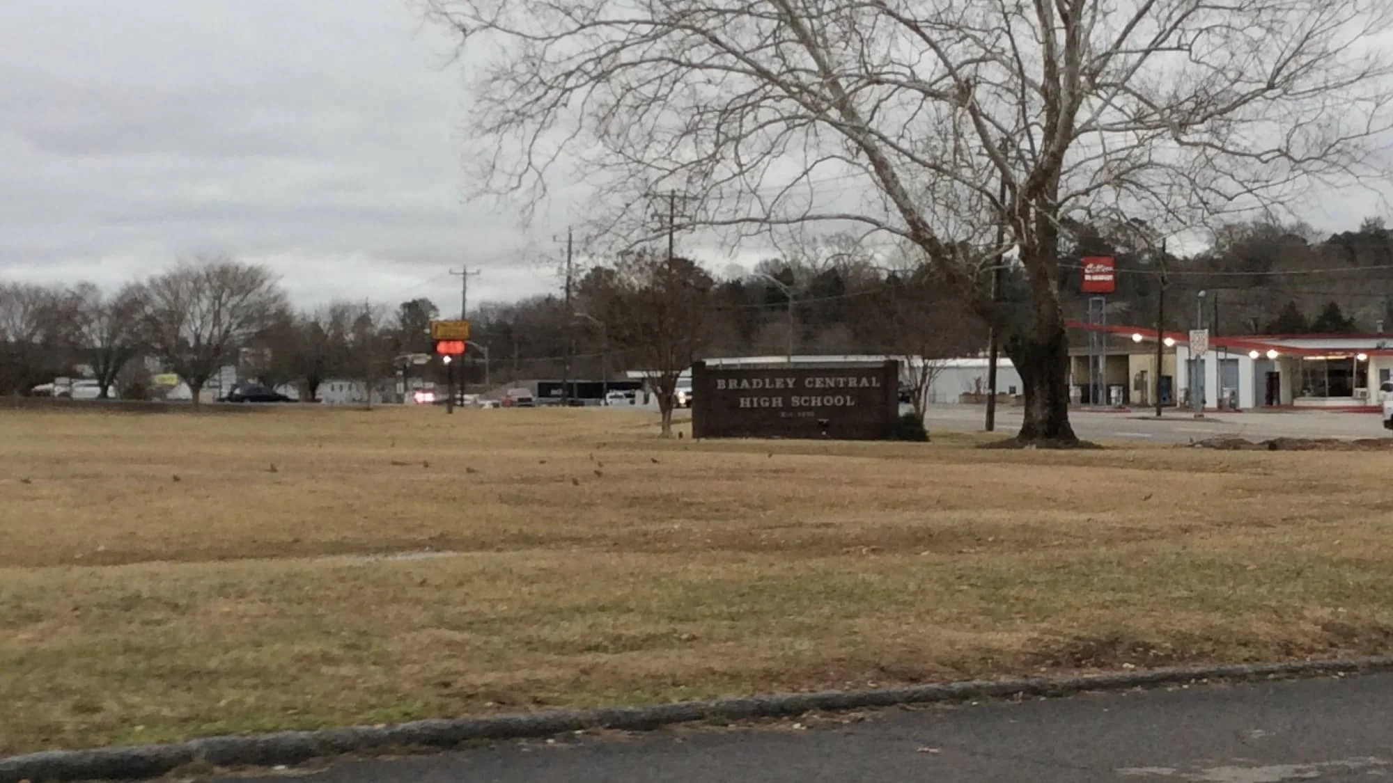 bradley-county-flu-shots.jpg