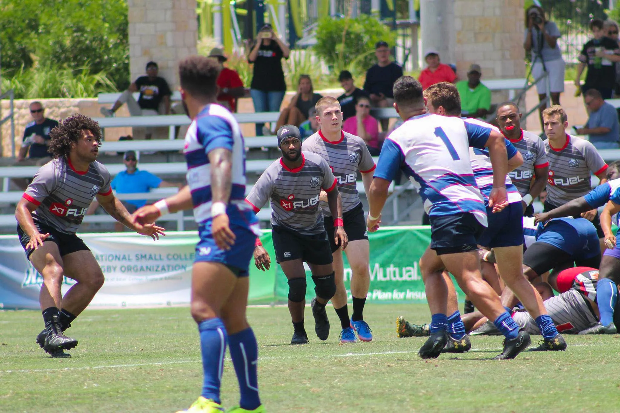 All Star rugby-3-2.jpg