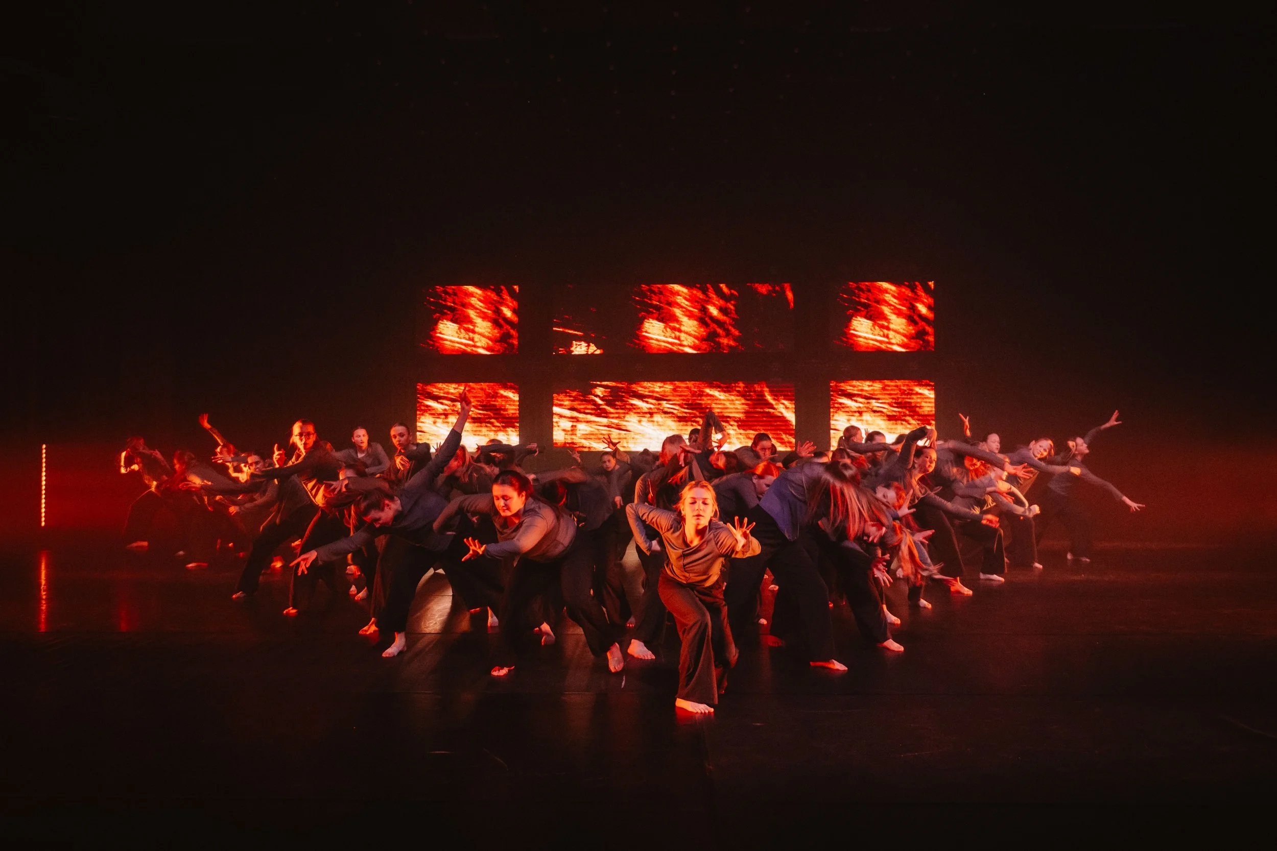 DANSA-PREVIEW-2026-219.jpg