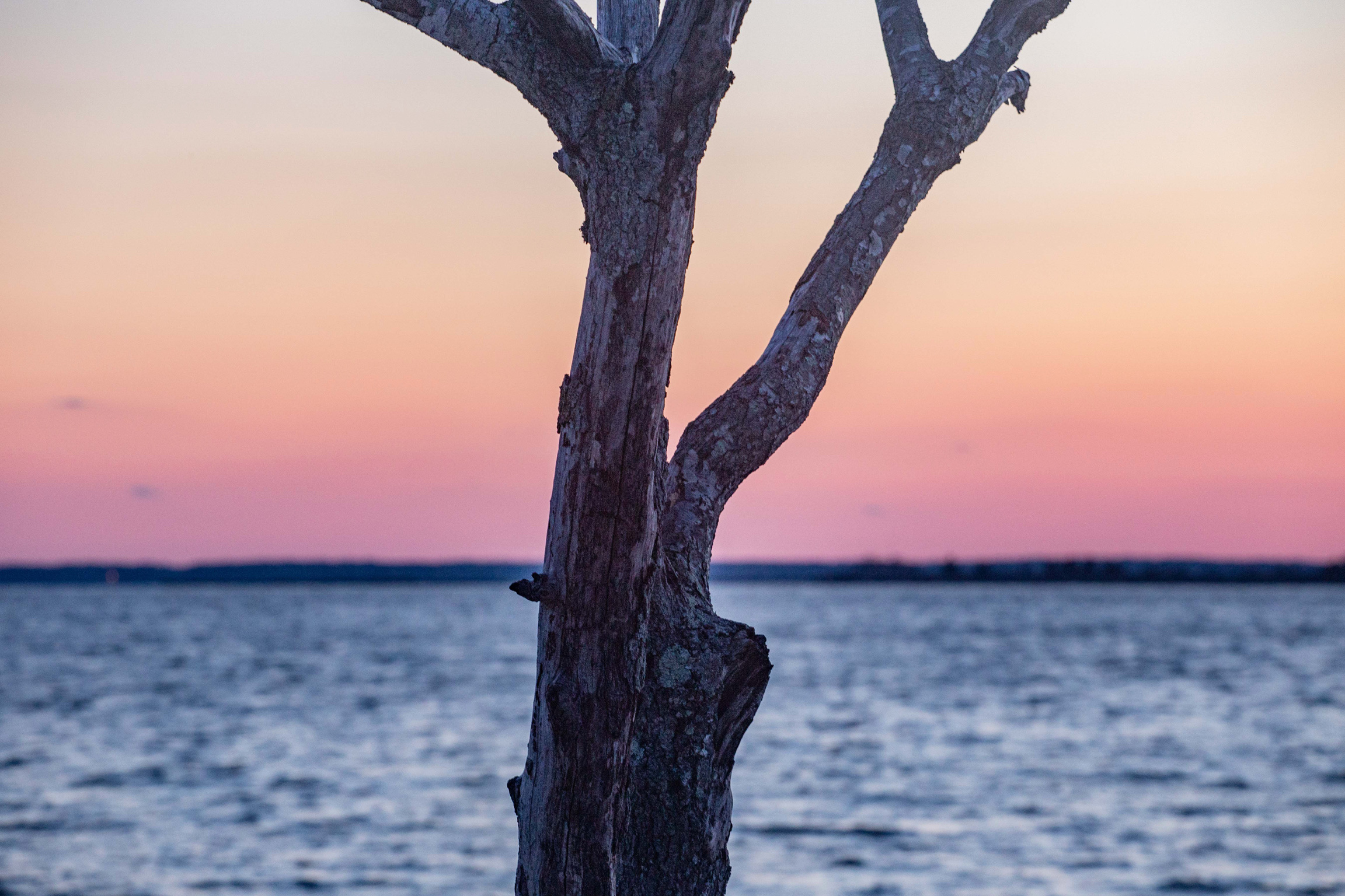 Assateague Island-6554.jpg