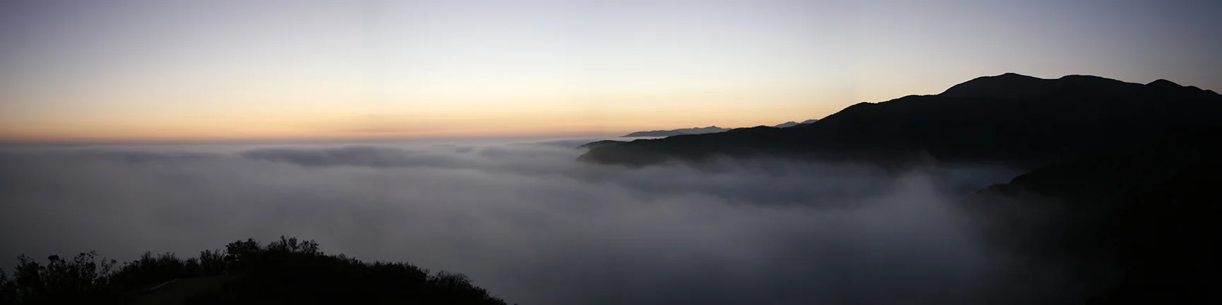 fog will rogers.jpg