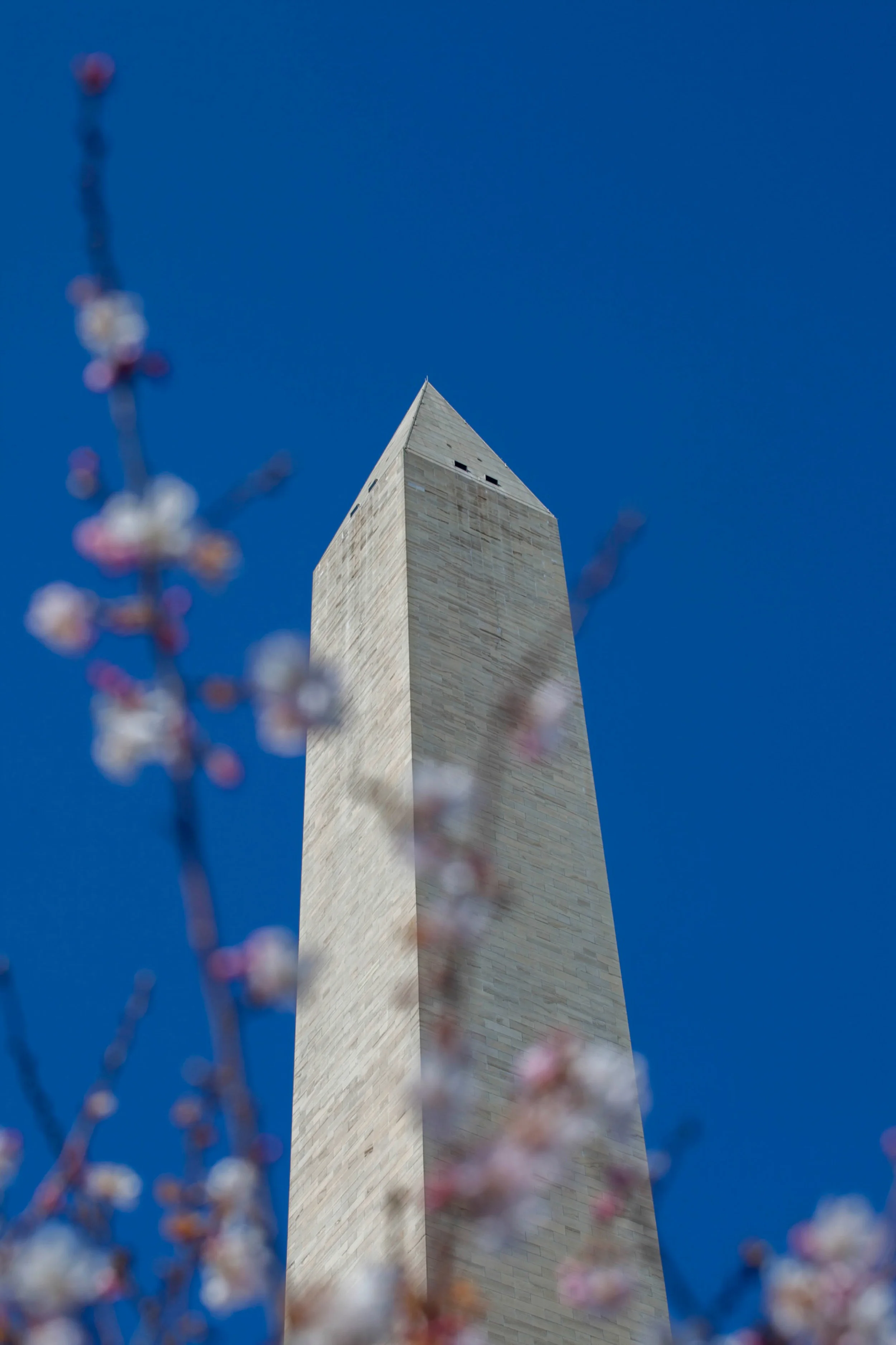 DC WebSized-156.jpg