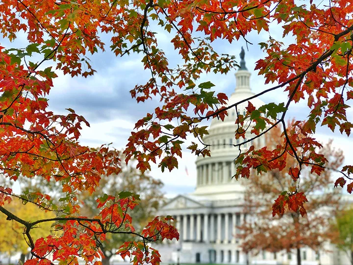 Washington DC