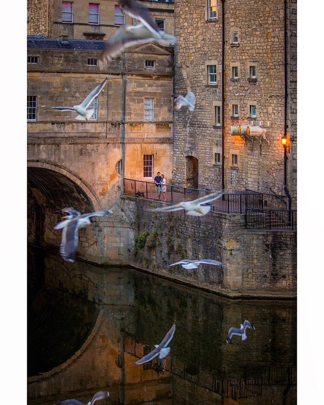 Our photo shoot in Bath was magical. Throwing some bread to the seagulls also helps to set the mood. &mdash;&mdash;&mdash;&mdash;&mdash;&mdash;&mdash;&mdash;&mdash;&mdash;&mdash;&mdash;&mdash;&mdash;&mdash;&mdash;&mdash;&mdash;&mdash;&mdash;&mdash;&m