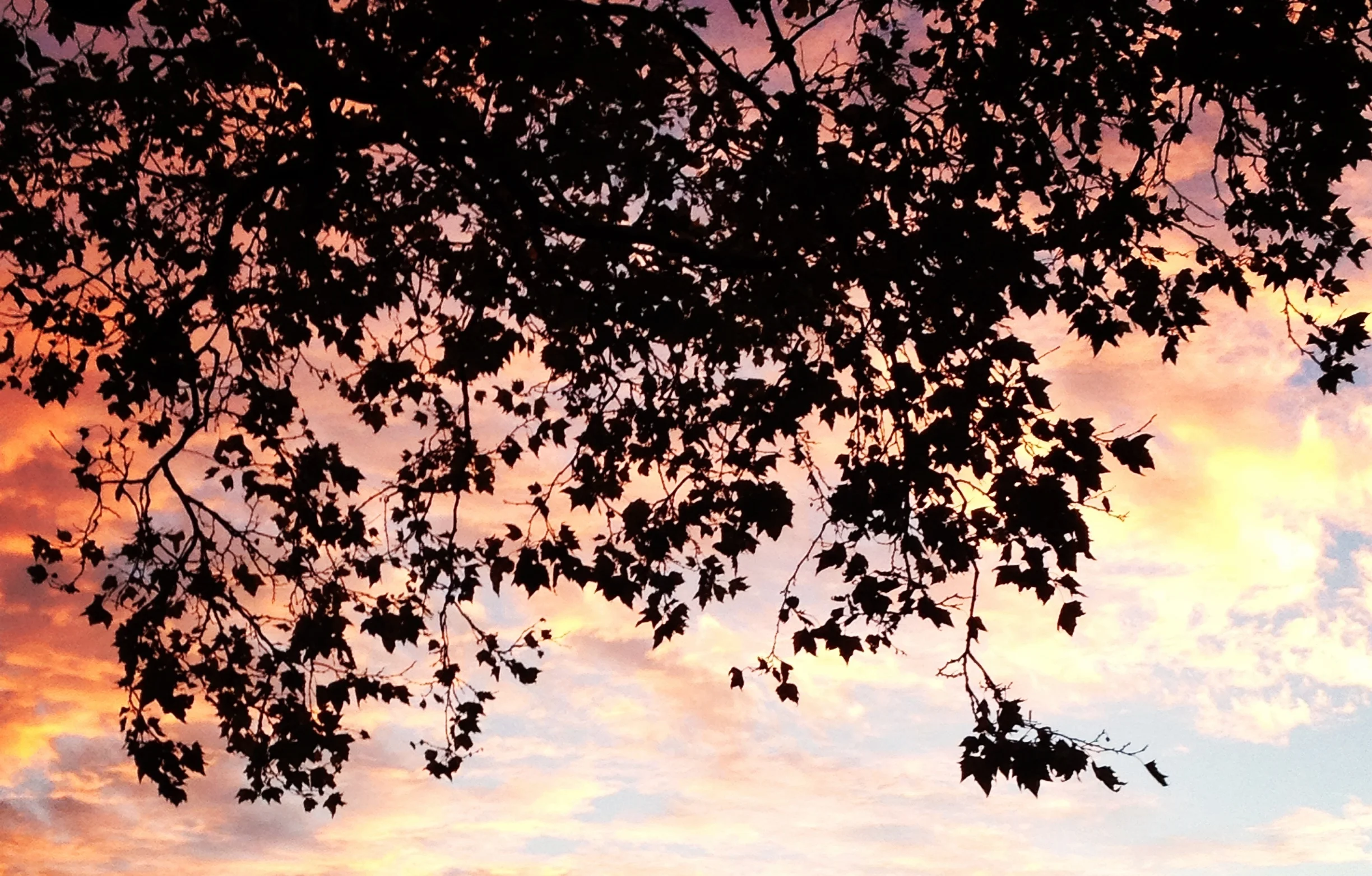 Fall Sunset