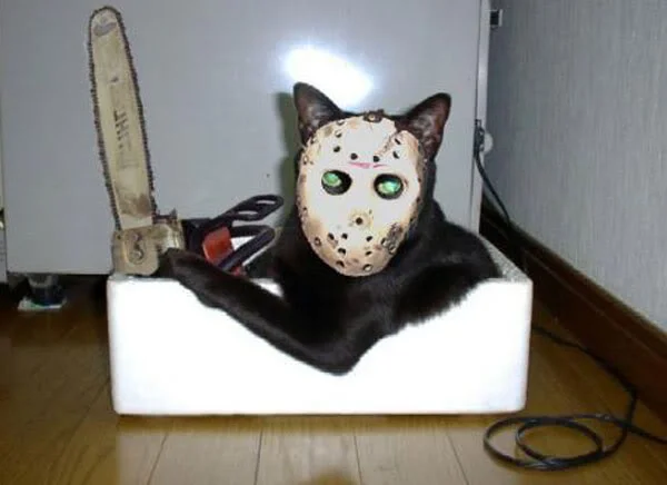PsychoCat+friday+the+13th.jpg