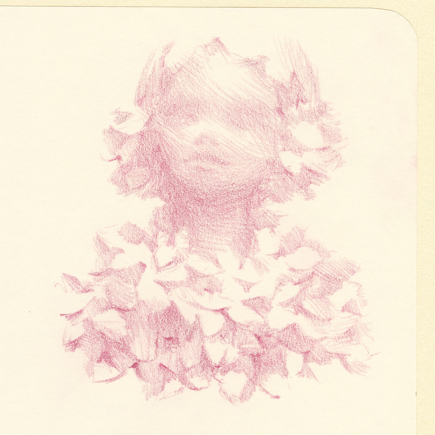 Portrait art with flowers in pencil by Laura Dreyer.