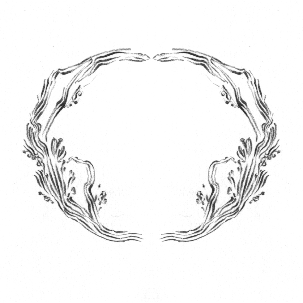 Tree branch border design, drawn by Laura Dreyer