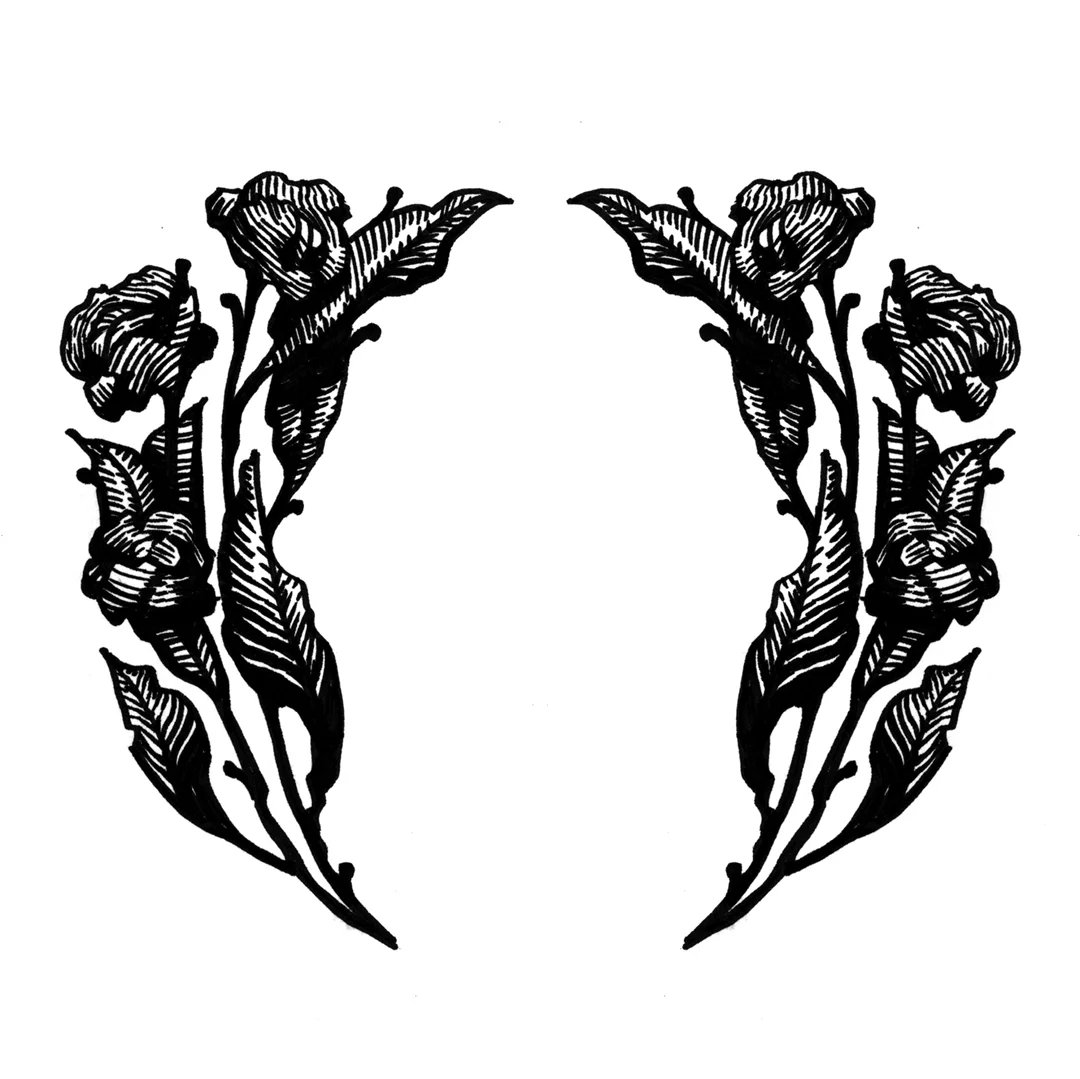 Dark floral decorative border design, drawn by Laura Dreyer