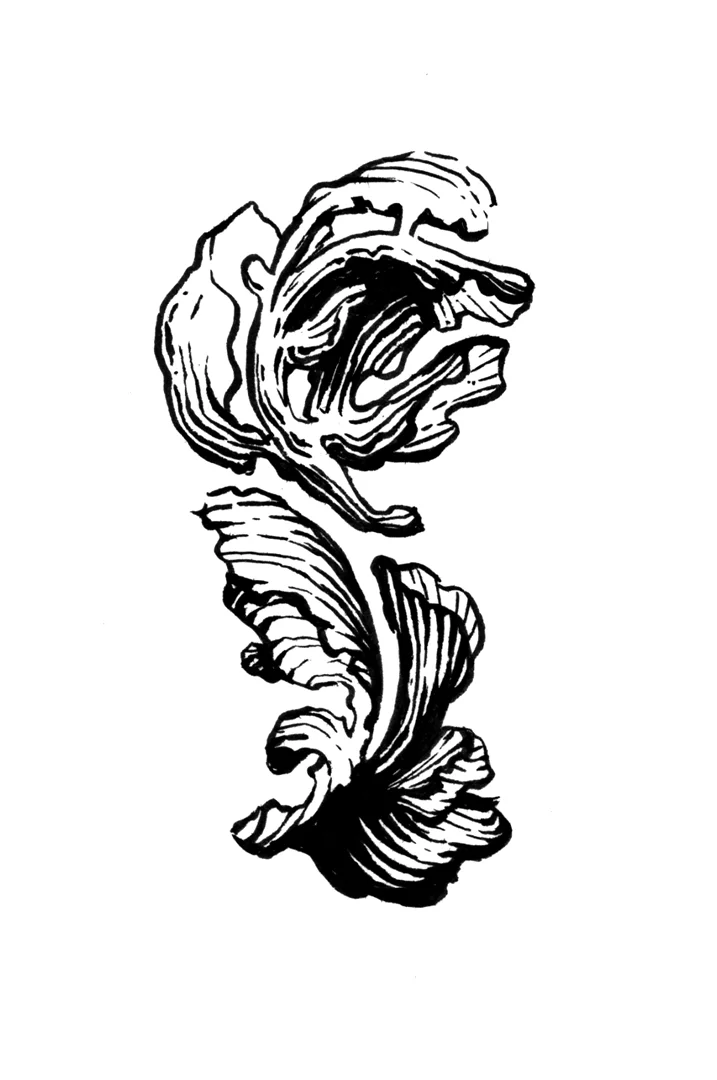 Floral abstract art by Laura Dreyer, drawn in ink.