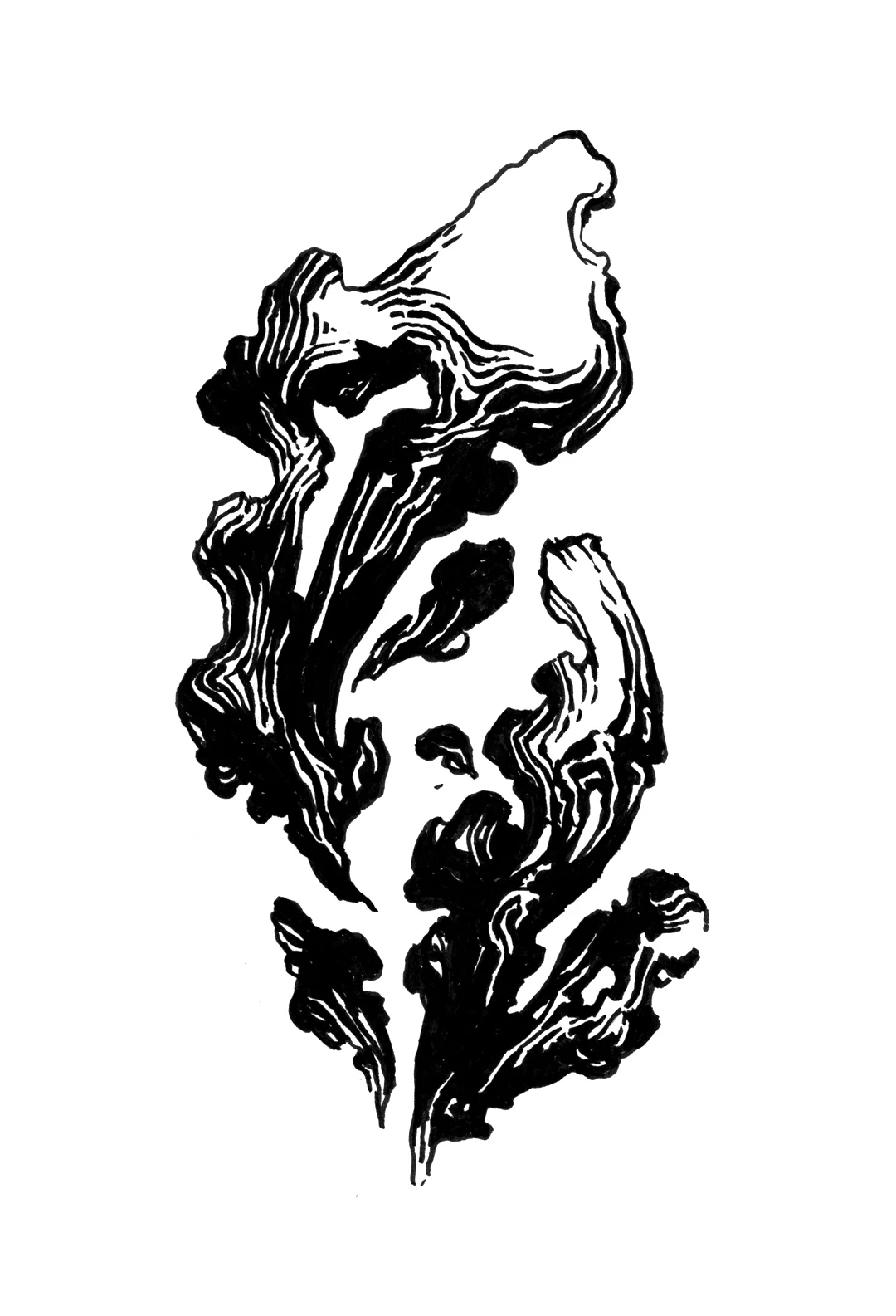 Abstract botanical art by Laura Dreyer, drawn in ink.