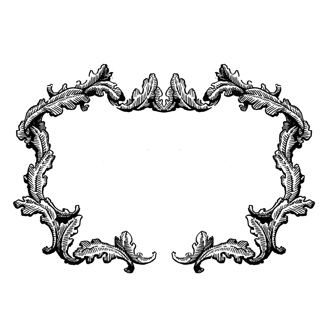 Ornate Rococo-inspired frame illustration, drawing by Laura Dreyer