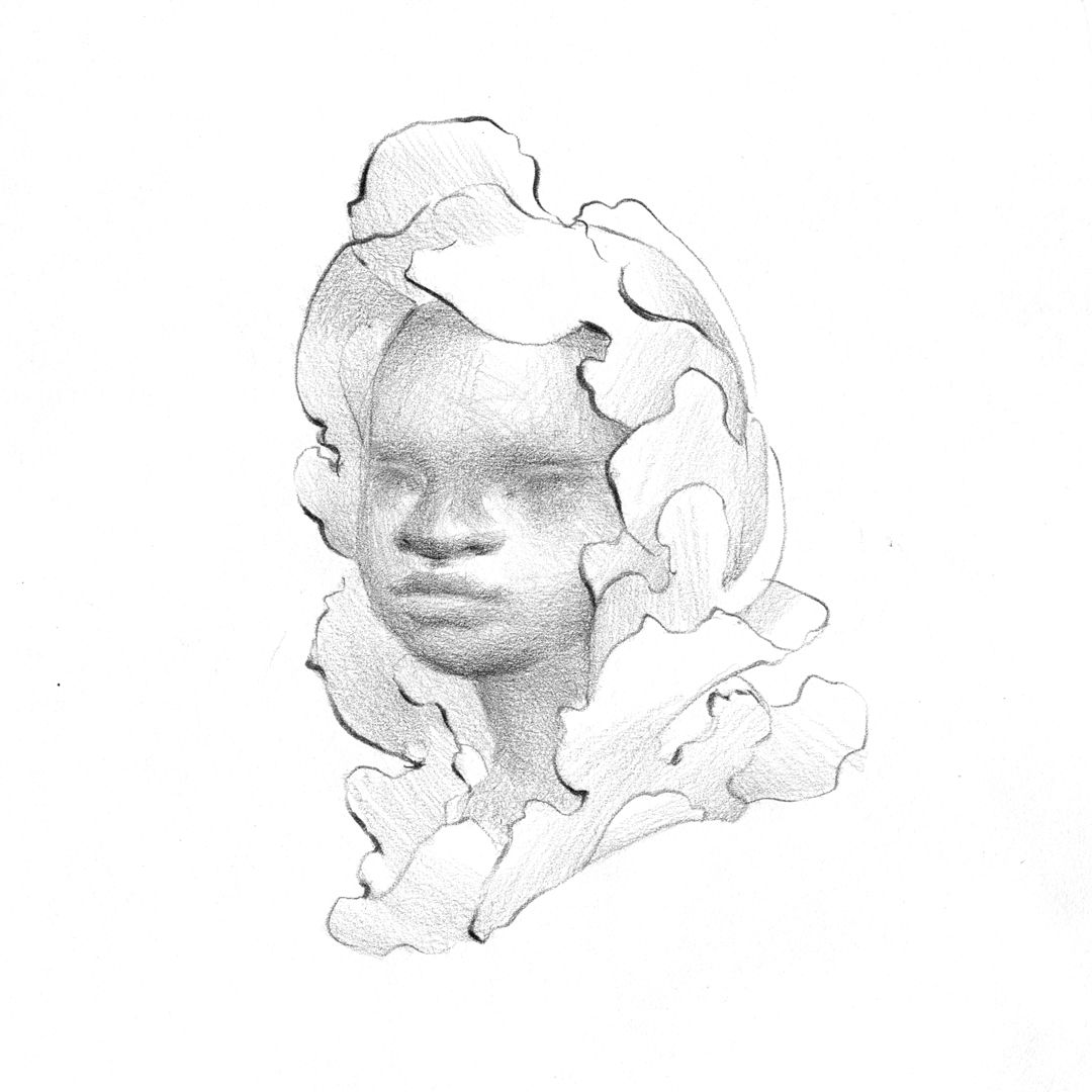 Dream Portrait by Laura Dreyer, drawing in pencil.