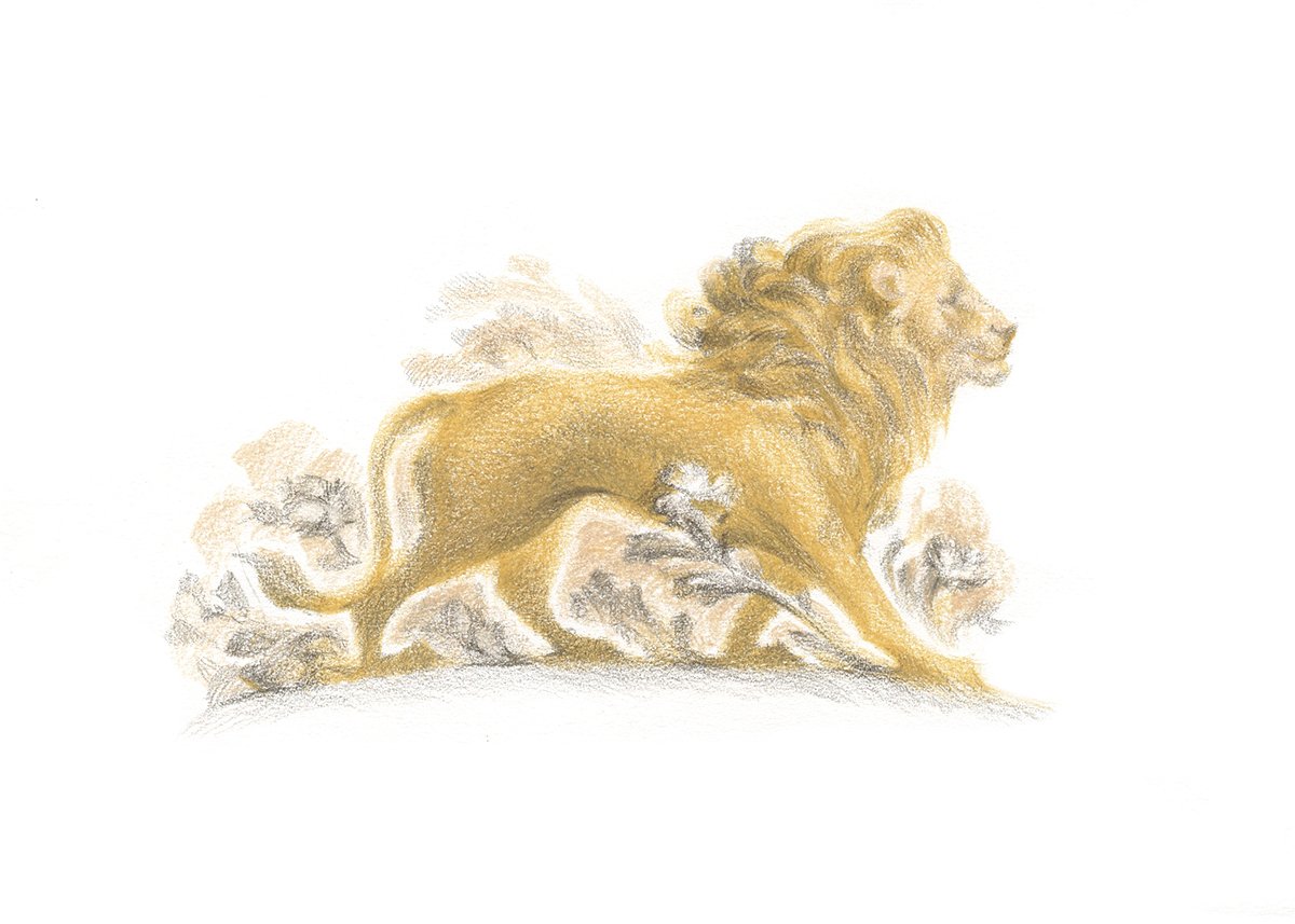 JD-Lion-artwork-2.jpg