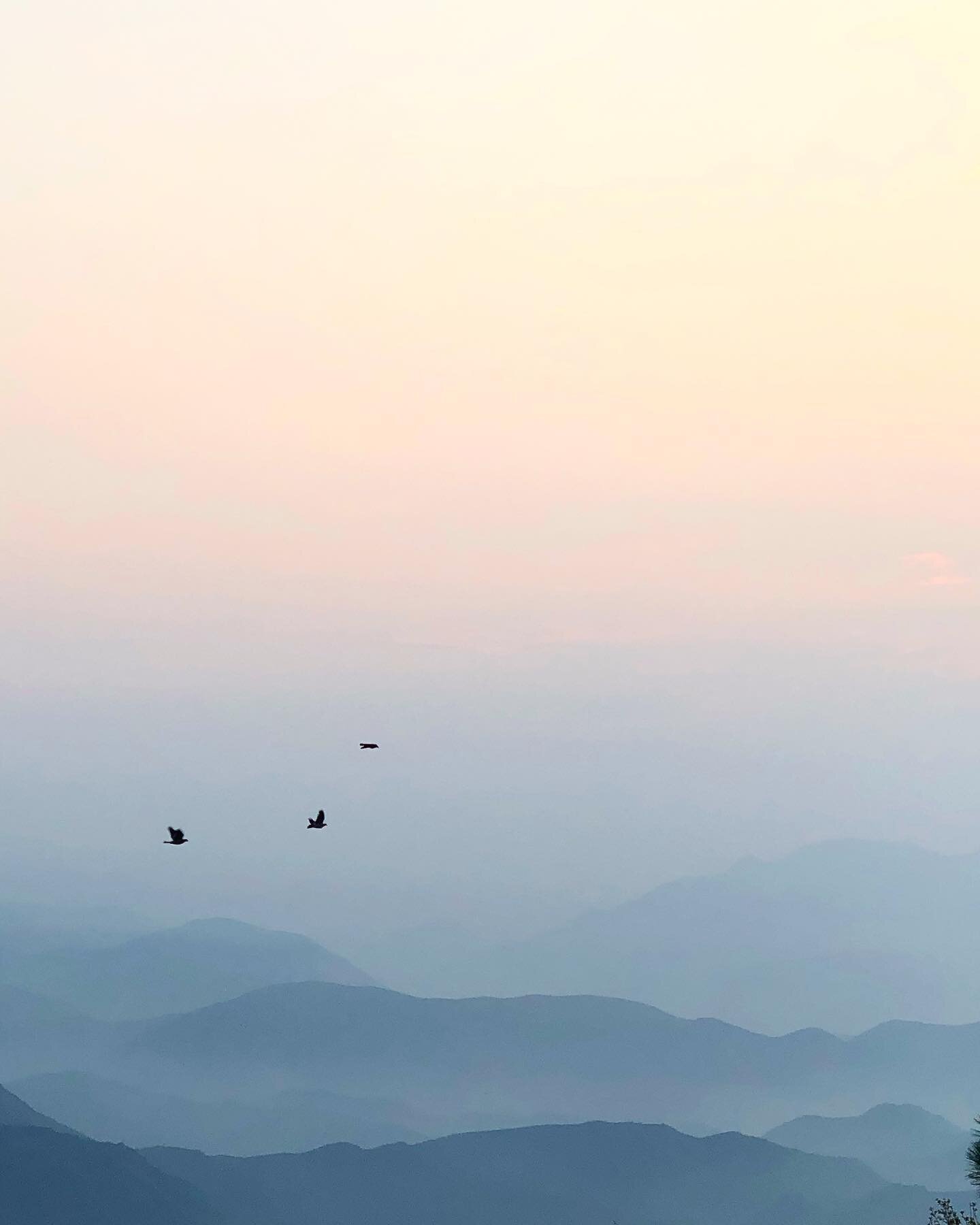 This is my phone background photo and I find it very soothing- that is all!