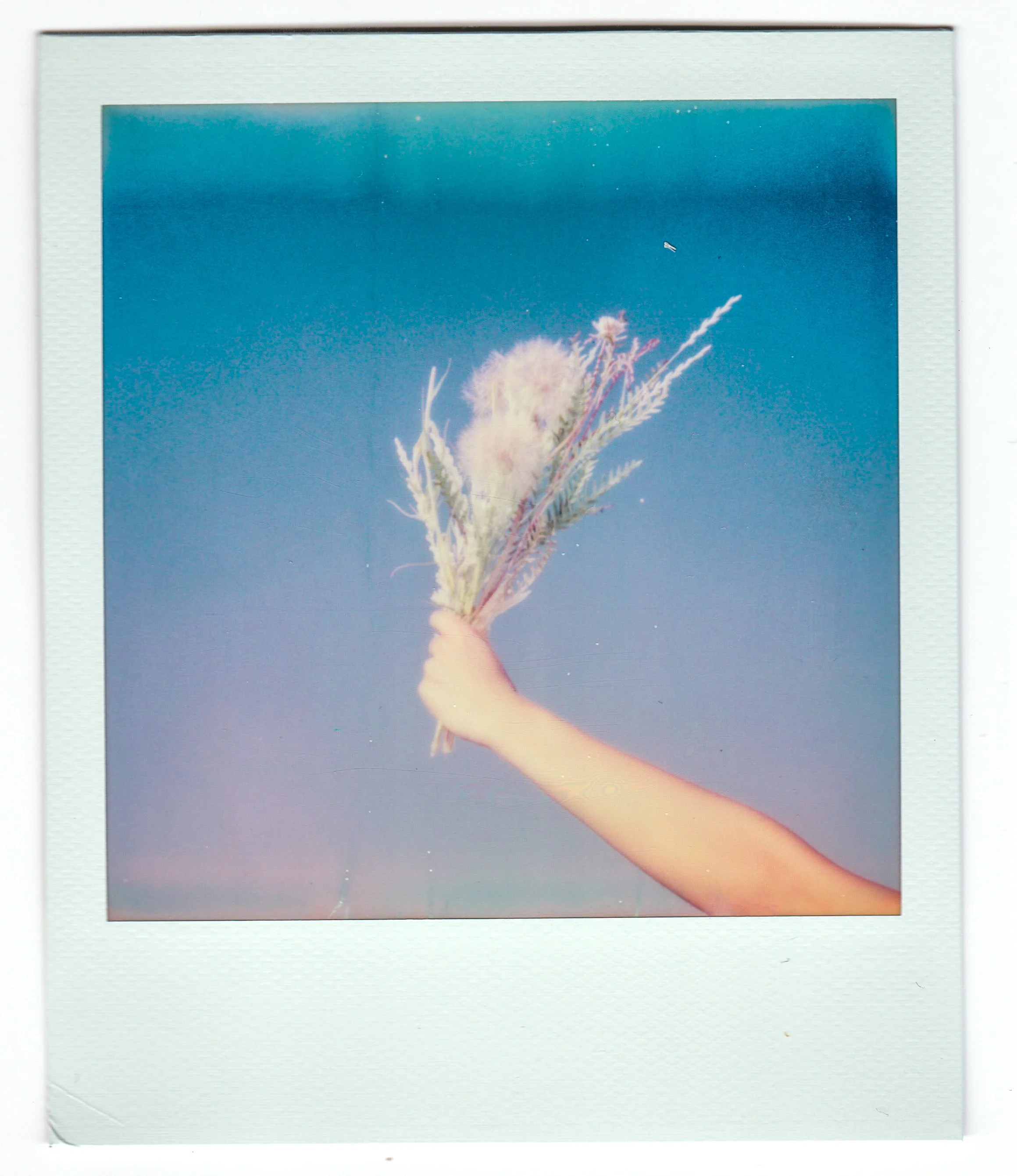 polariod-7.jpg