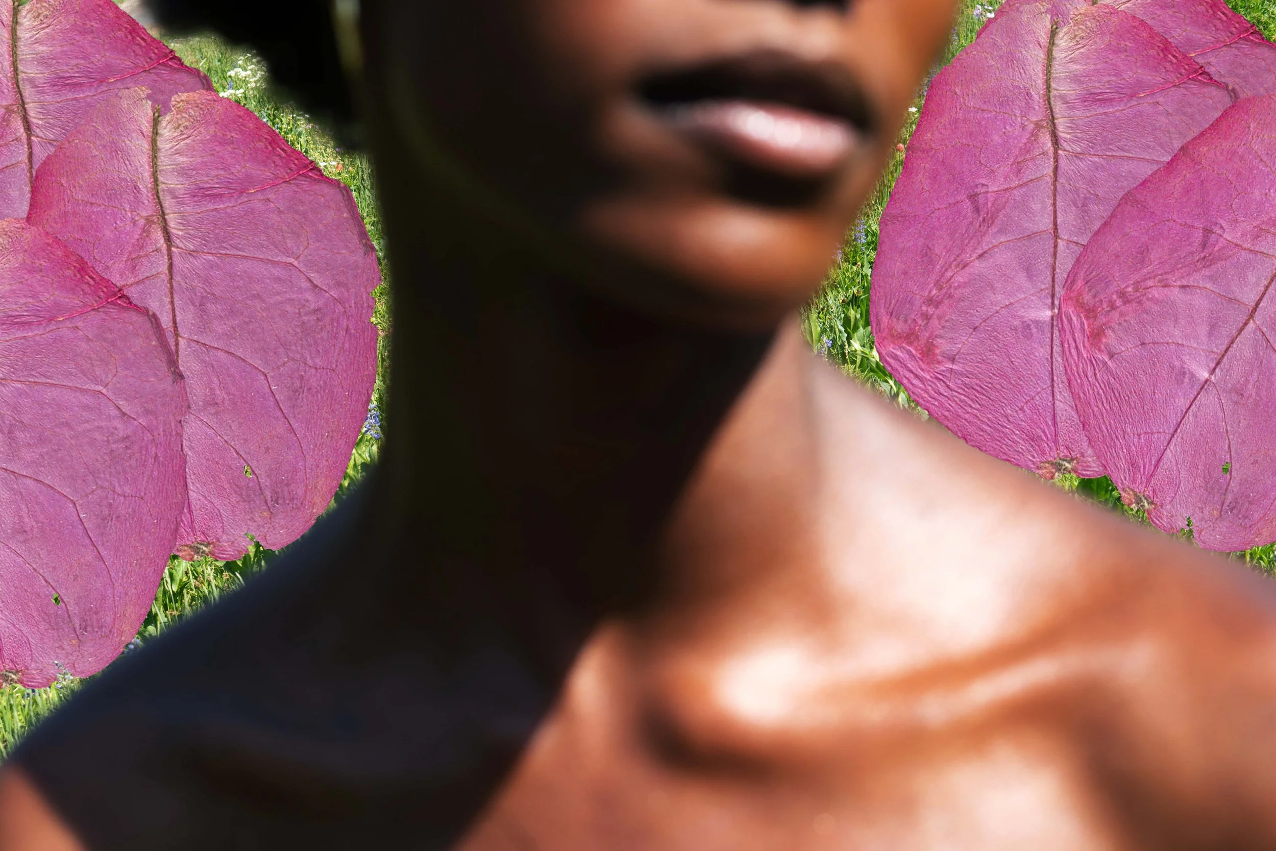 Plantshoot-96.jpg