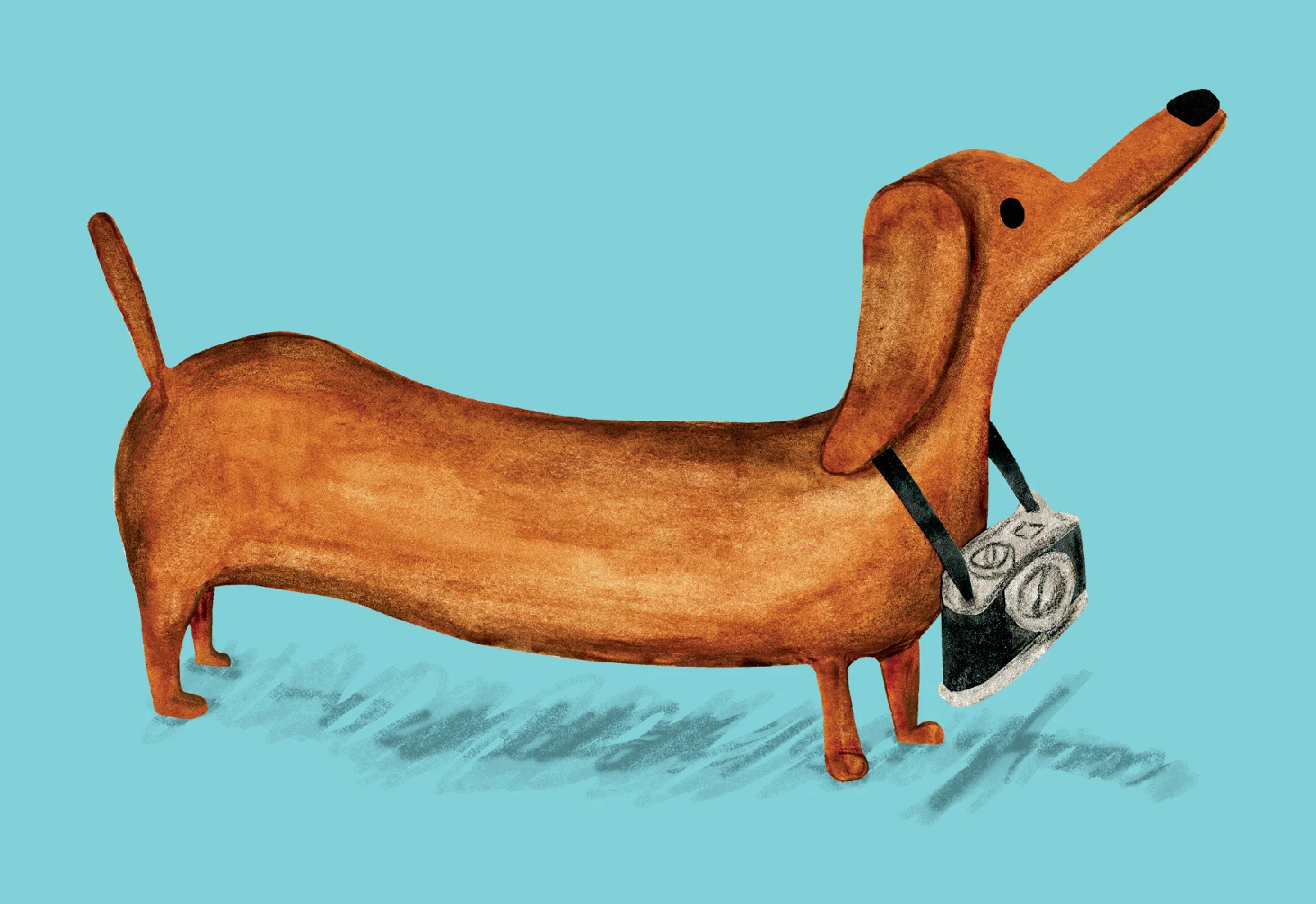 Sightseeing Sausage Dog