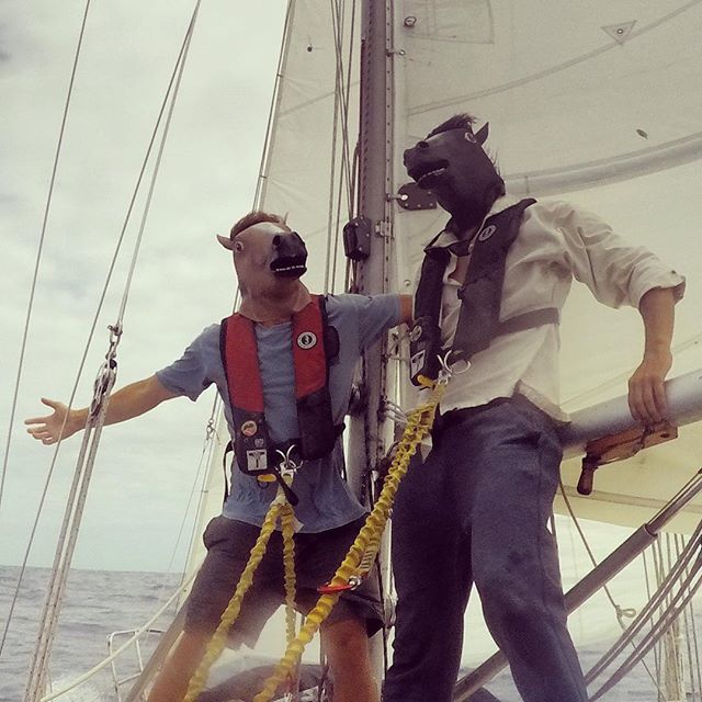The Crew Crosses the Equator. Some stats from our Pacific passage:
Distance: 3,856nm
Time: 29 days 6 hours
Tacks: 8
Gybes: 6
Headsail Changes: 23
Spinnaker Runs: 5
Longest Spinnaker Run: 419nm
Highest Sustained Winds: 30knts
Best 24hr mileage: 188nm
Worst 24hr mileage 51nm
Engine hours: 6hrs
Equator Crossing: 100 deg 6 min
Water Used: 51 gallons
Bananas Consumed: 99
Pounds of Coffee Consumed: 6lbs