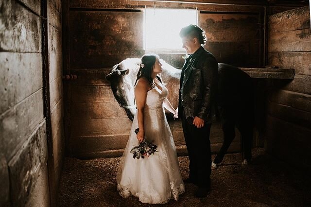 It&rsquo;s your wedding, make it whatever you want it to be. 
#roostmke #marriedinmilwaukee #horsesofinstagram