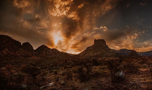 First light in @bigbendnps (From my tent 1 year ago). #bigbendnps #campinglife⛺️ #bigbendnps🌵