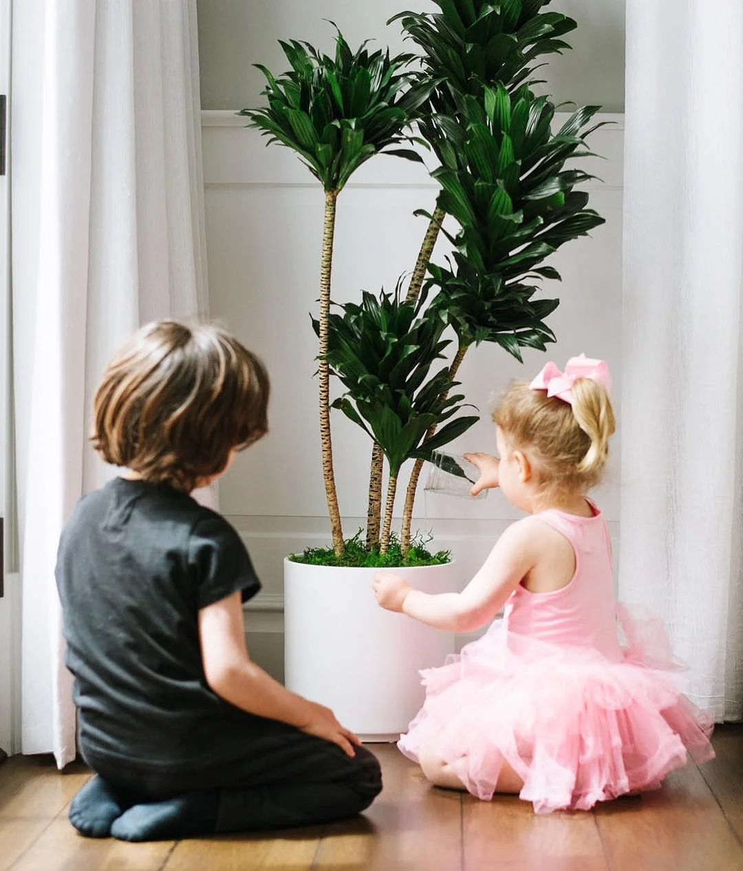 dr mom plants.jpg