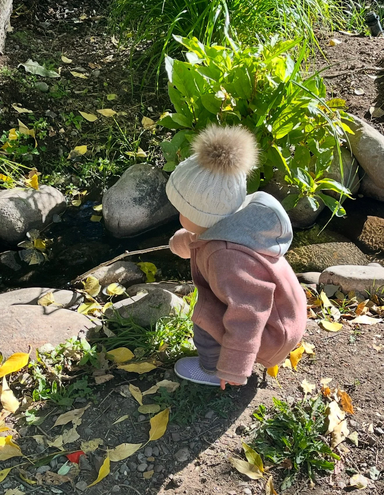 Age 5: the imitation and will phase