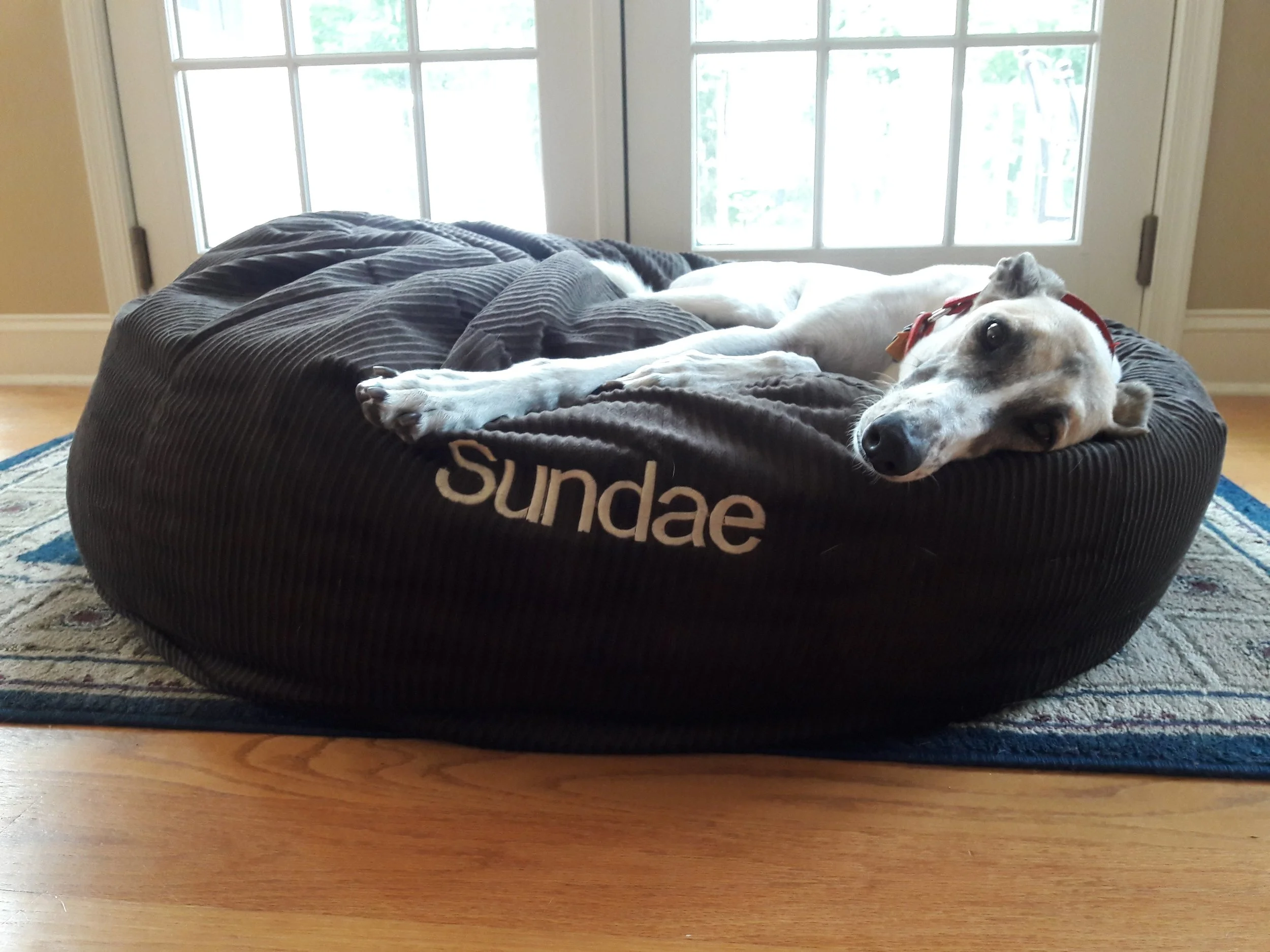 Sundae Feldman Official Mascot, The Feldman Firm, LLC