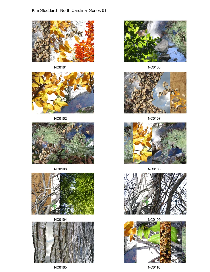 SHOW_PRINTS_Layout.jpg