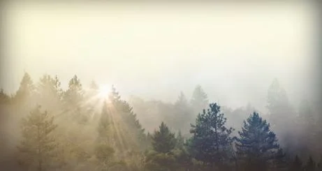 Mobile background.JPG