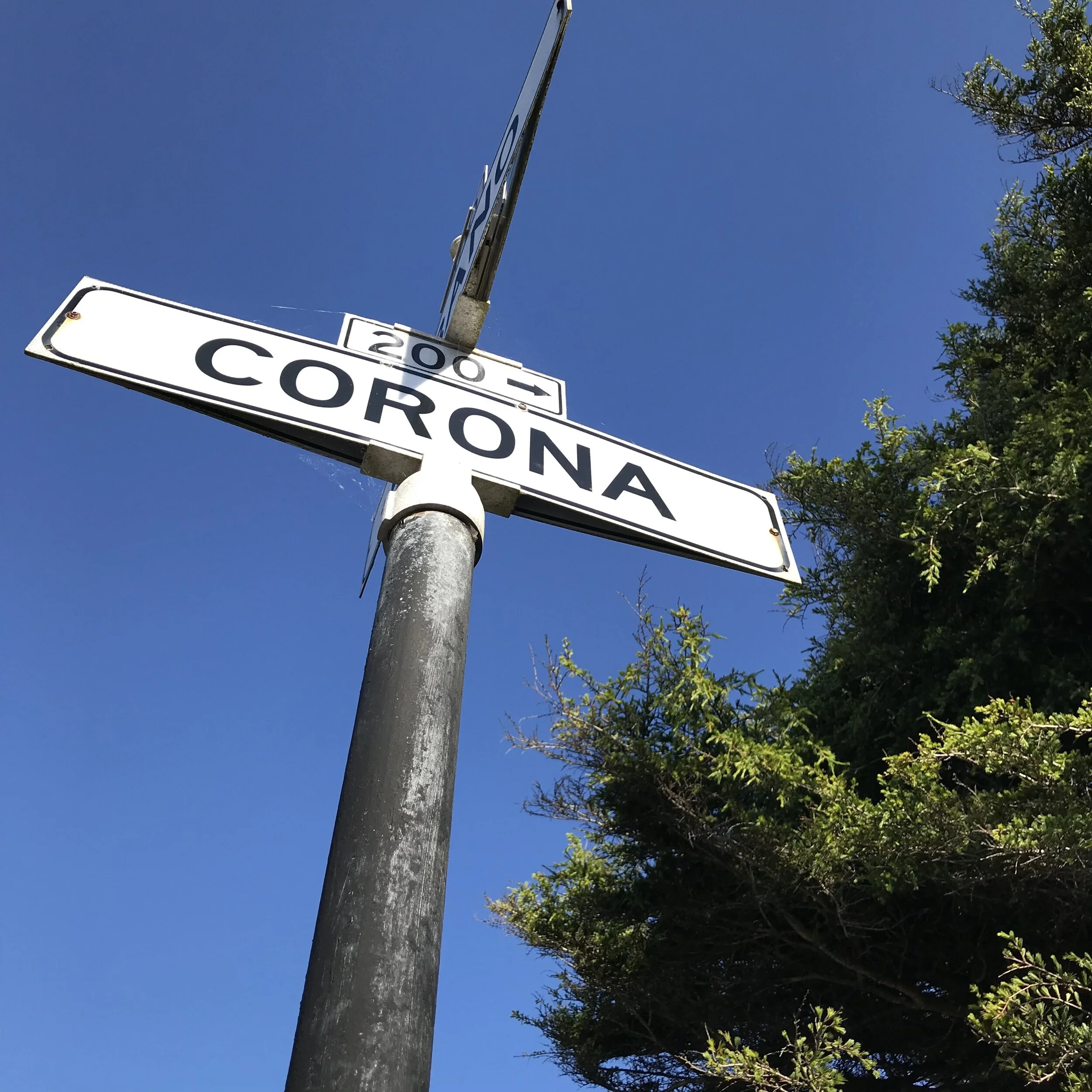 Coping with the Pandemic 2