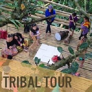 Tribu Tur 2020