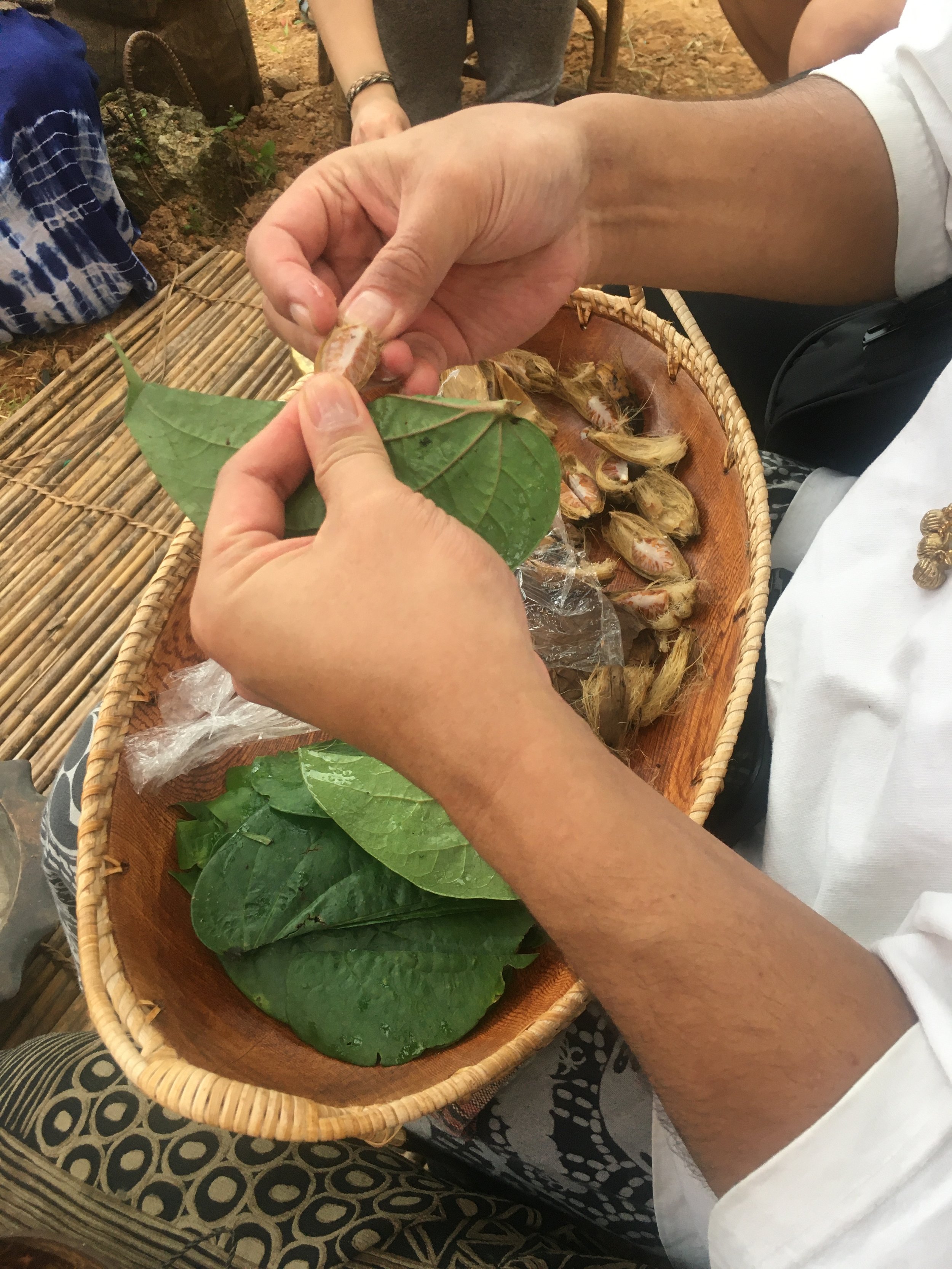 Herbal Allies for Seasonal Support