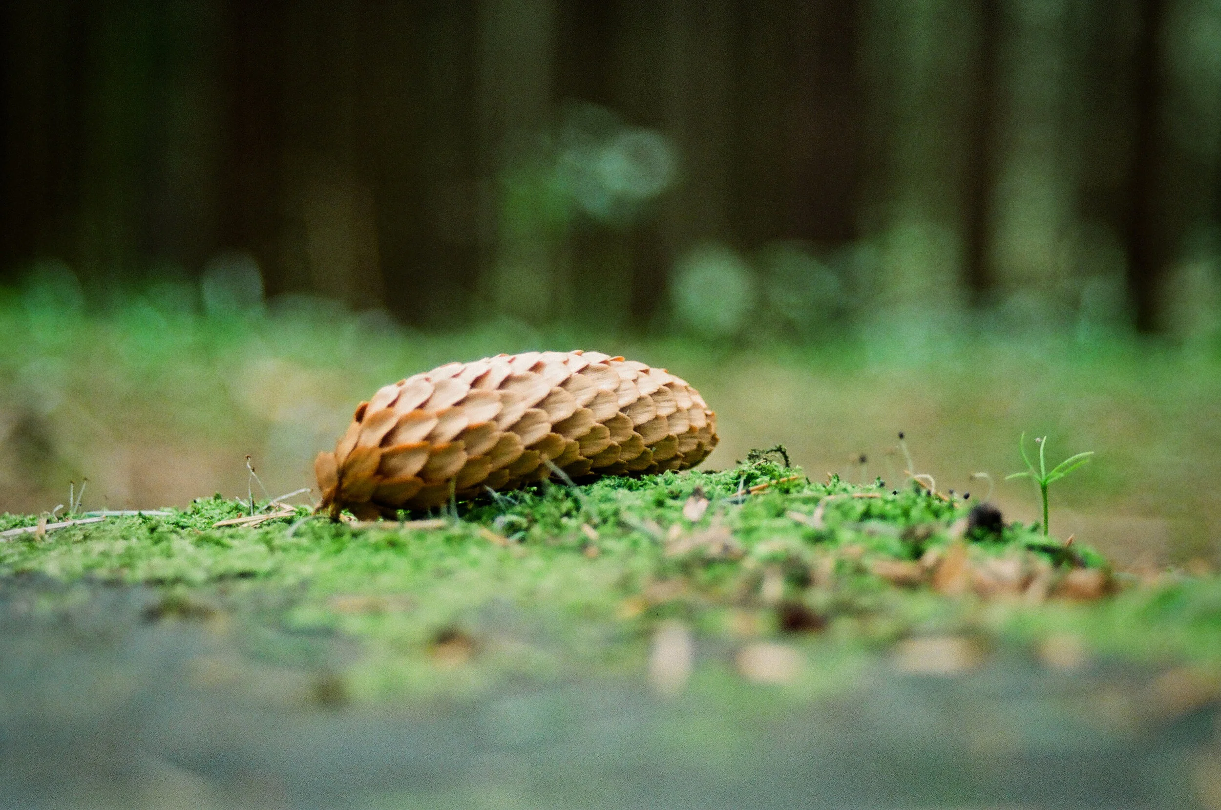  Wildlife Photography 