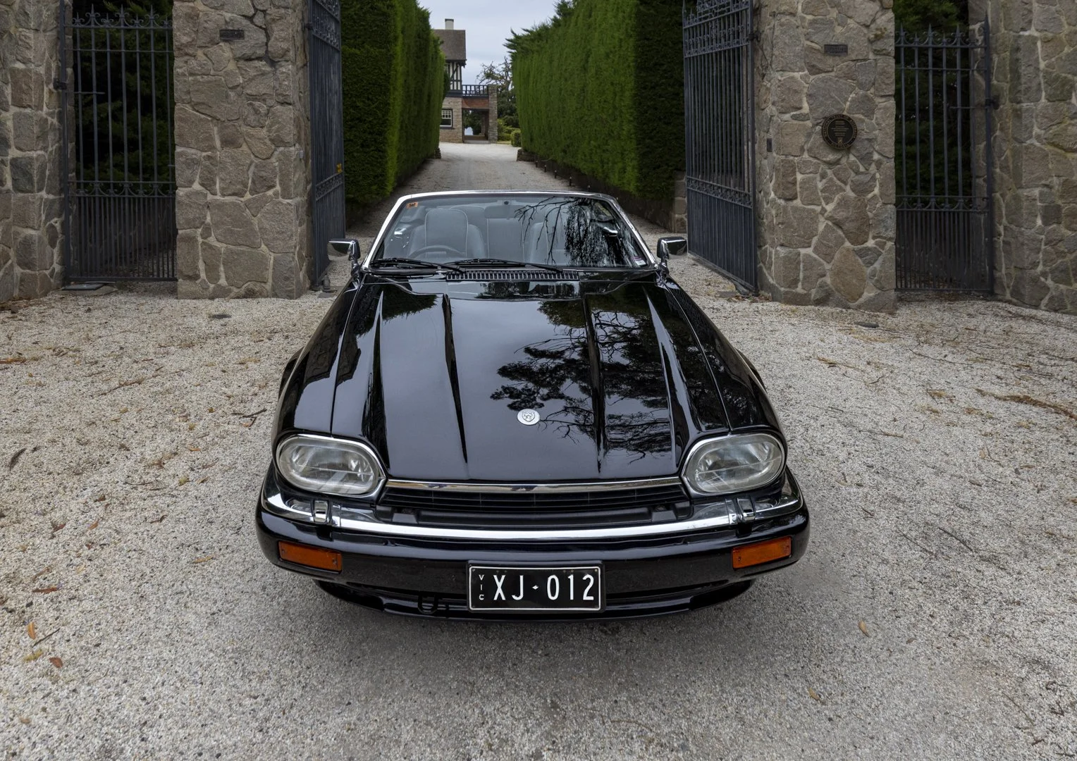 Jaguar 1996 XJS12 2.jpg