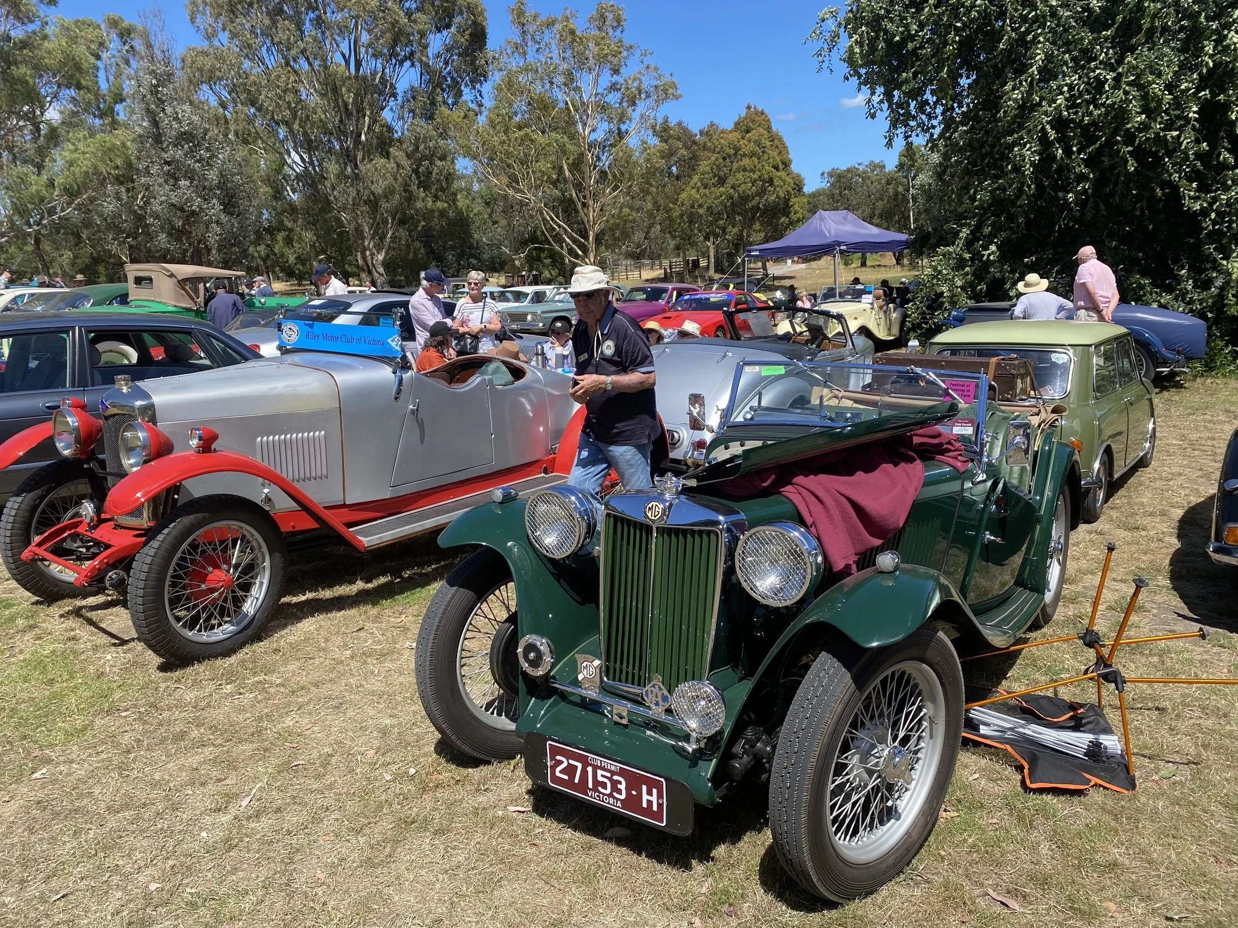 MG IMG_3907.JPG