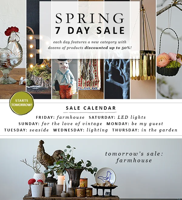 Sales Email Design