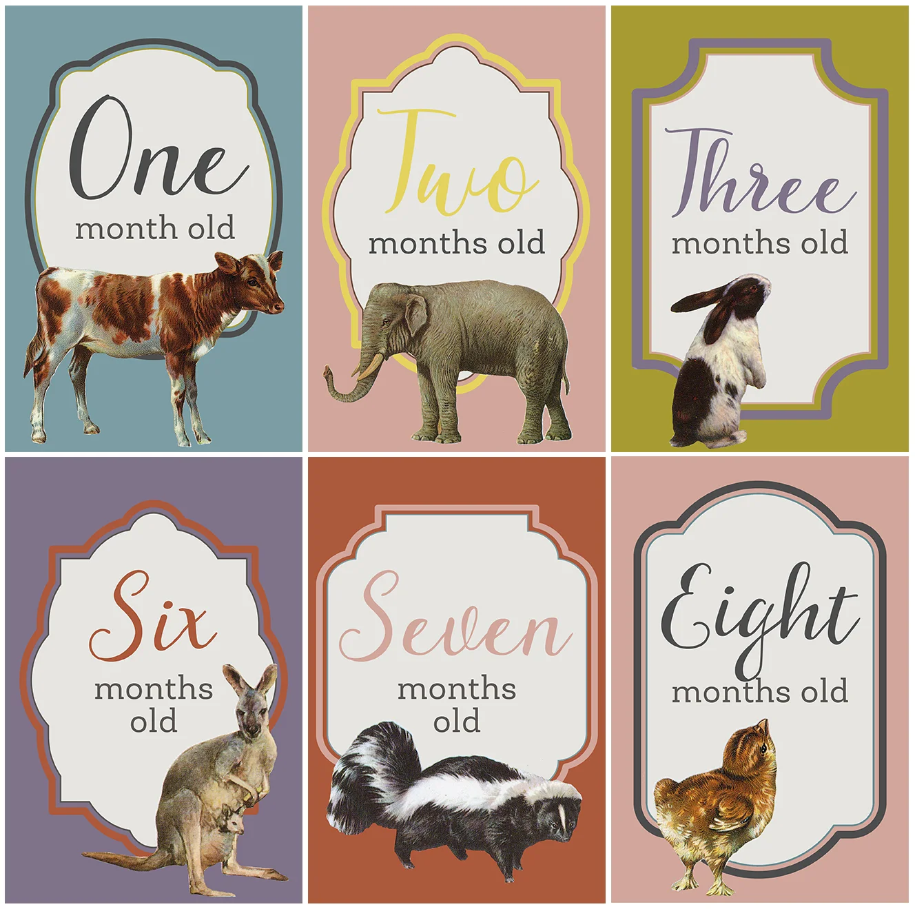 Baby's First Year Cards