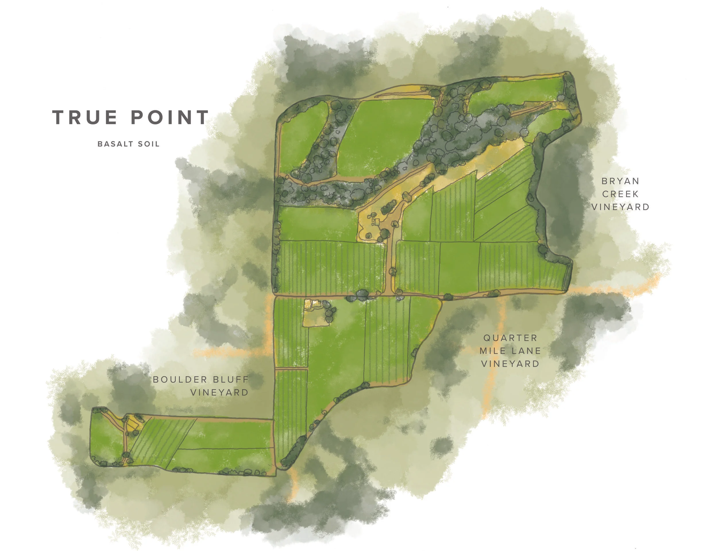 Vineyard Map for Adelsheim Winery