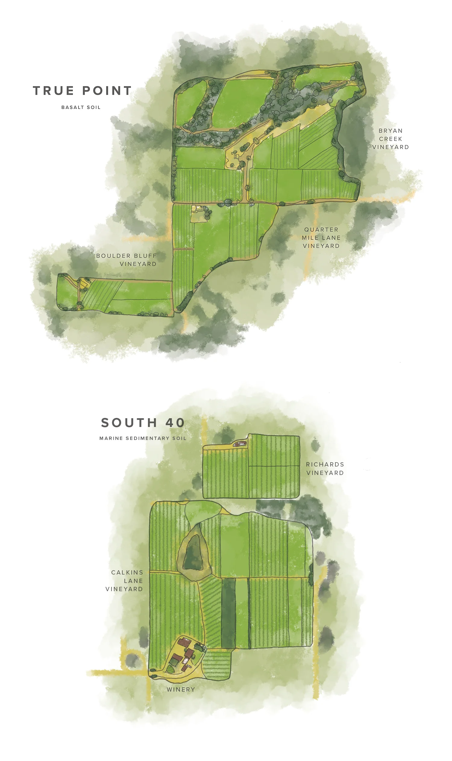 Maps for Adelsheim Winery