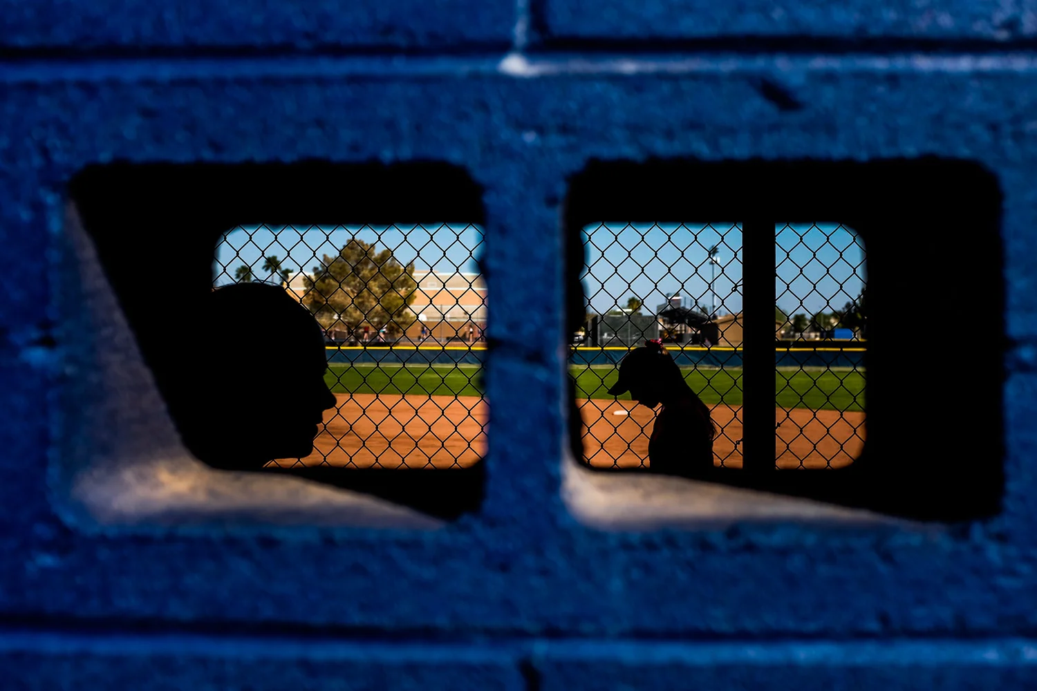 Softball Dugout for Daily News-Sun