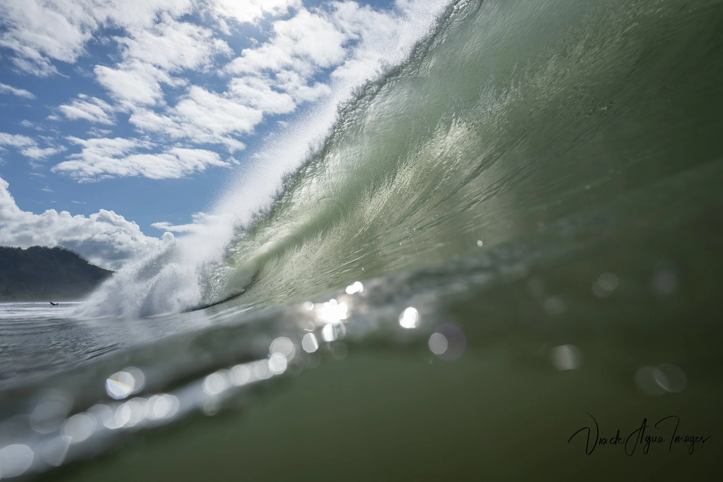 DSC_8080-Edit-Edit.JPG
