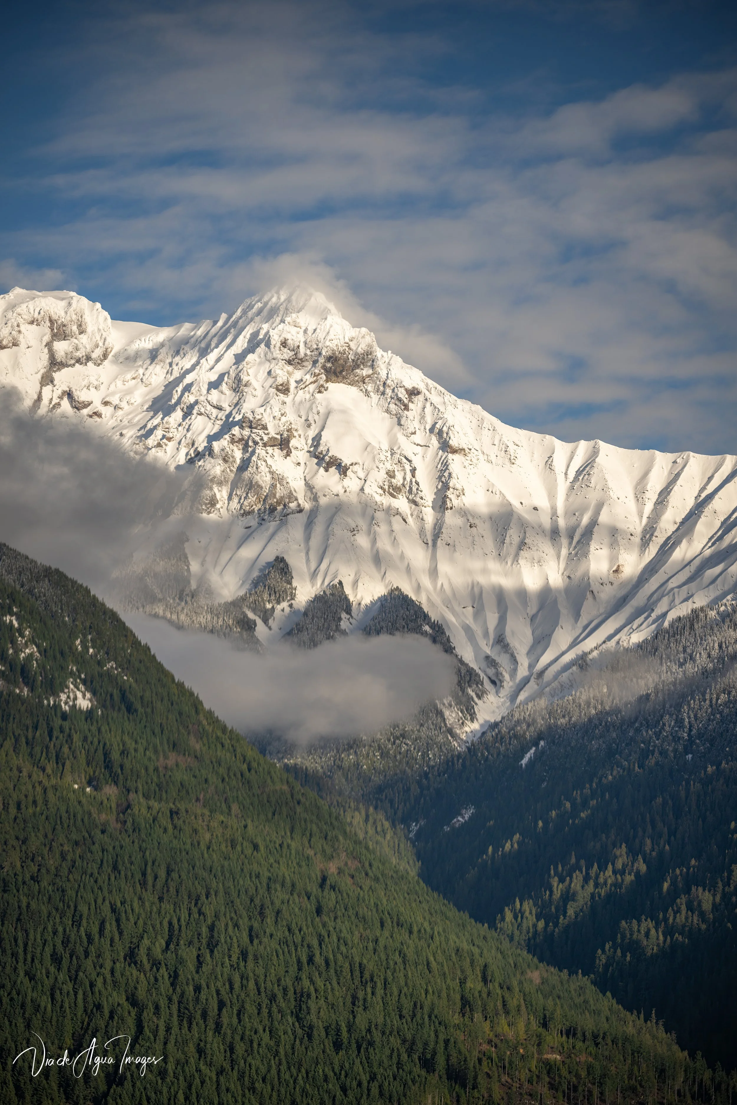 VDA_6435-Edit.JPG
