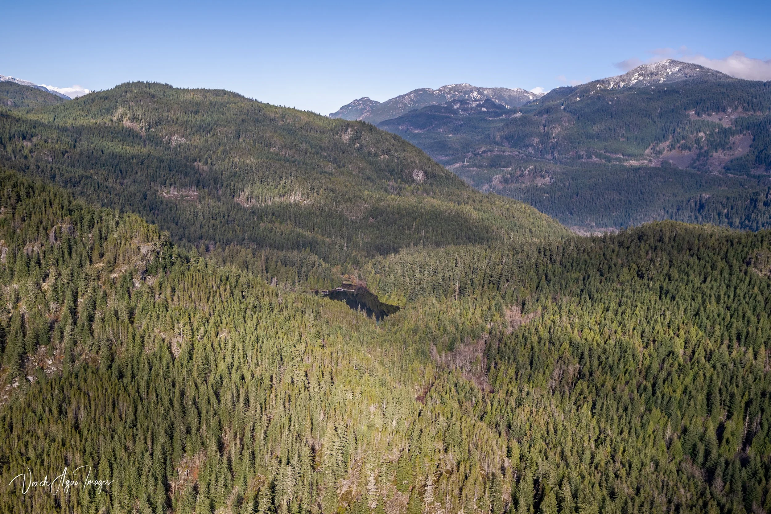 VDA_4598-Edit.JPG
