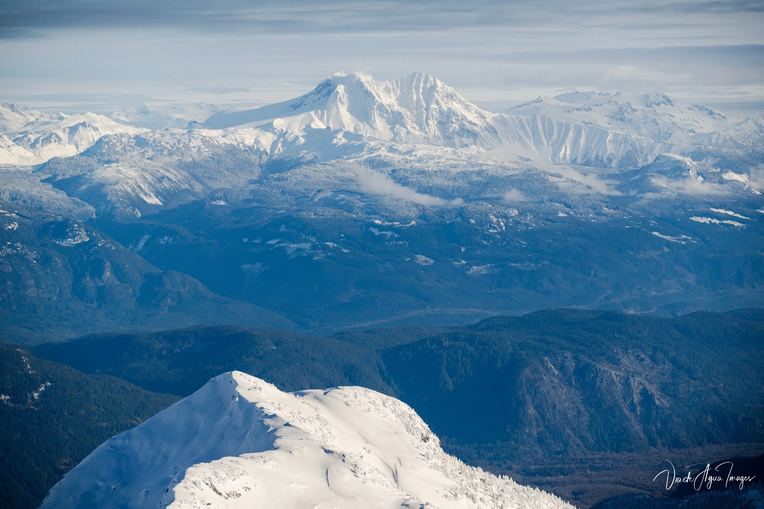 VDA_5165-Edit.JPG